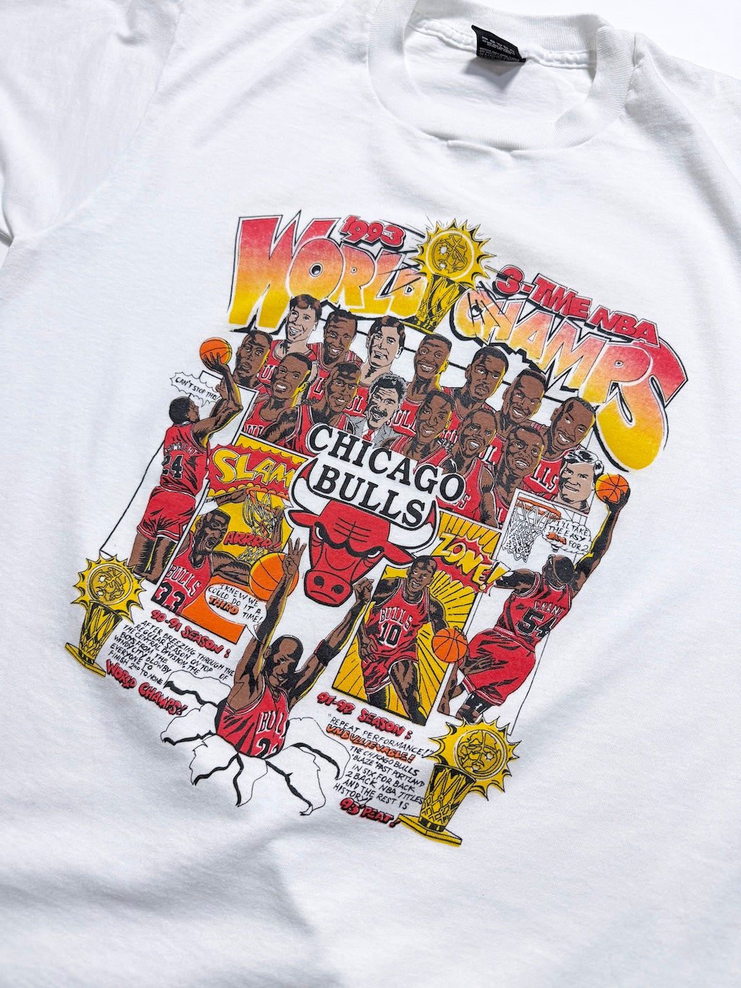 1993 WORLD CHAMPS CHICAGO BULLS S/S TEE