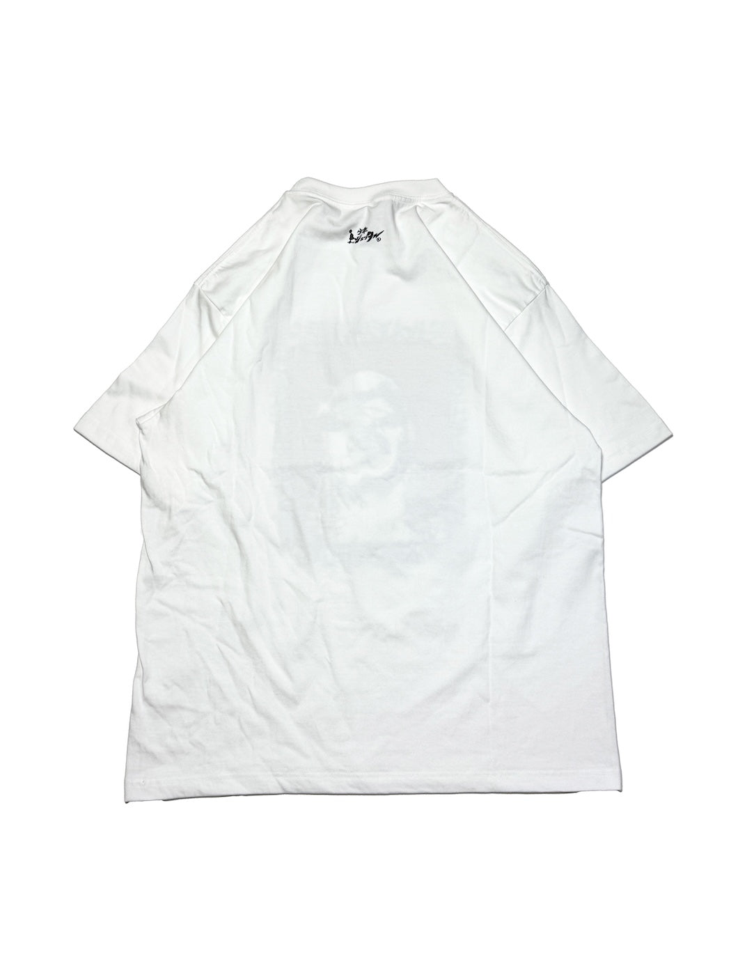 STEVELAND S/S TEE