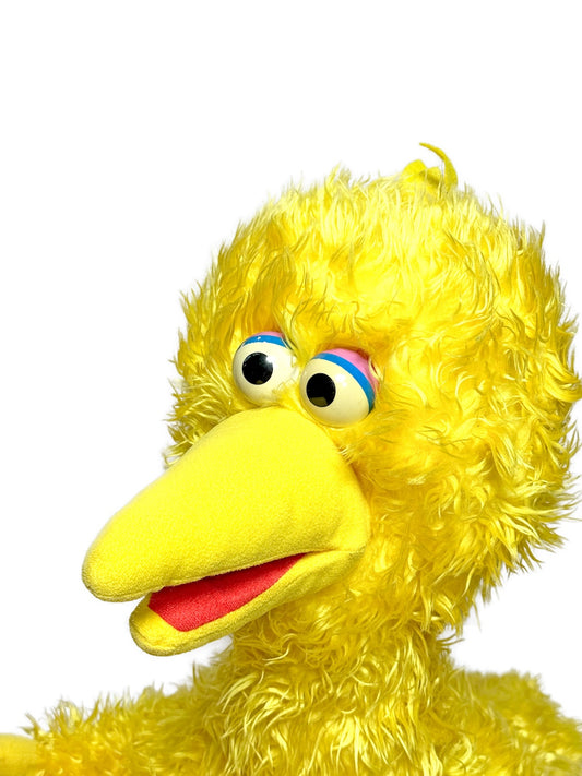 2000s SESAME STREET BIG BARD PUPPET
